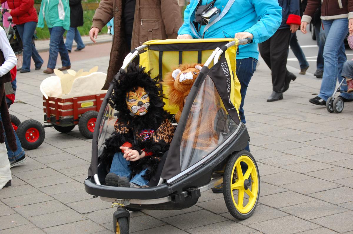 Koninginnedag 2008- (30)