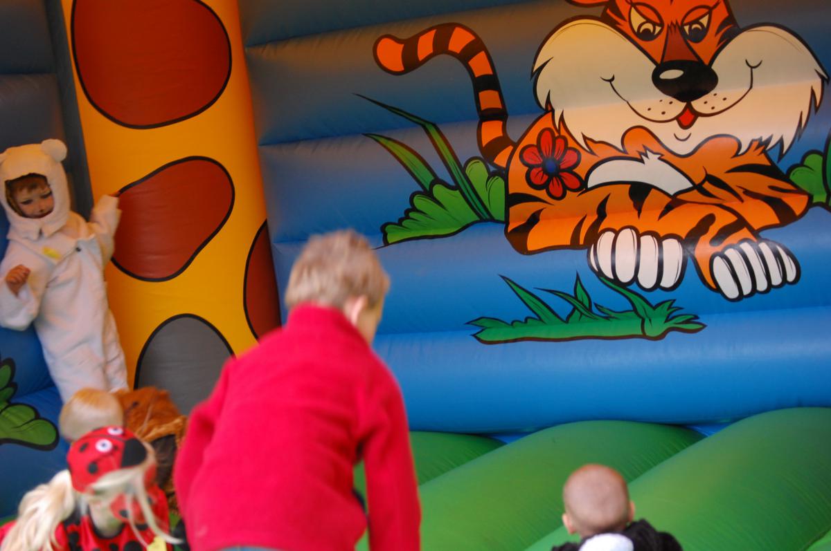 Koninginnedag 2008- (59)