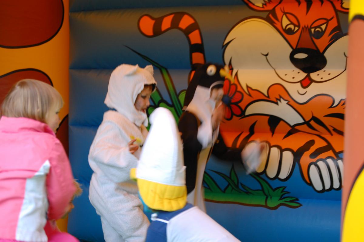 Koninginnedag 2008- (61)